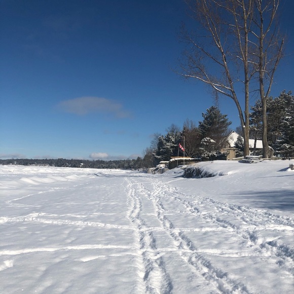 Meet your Posher, Eleanor - Picture 1 of 1